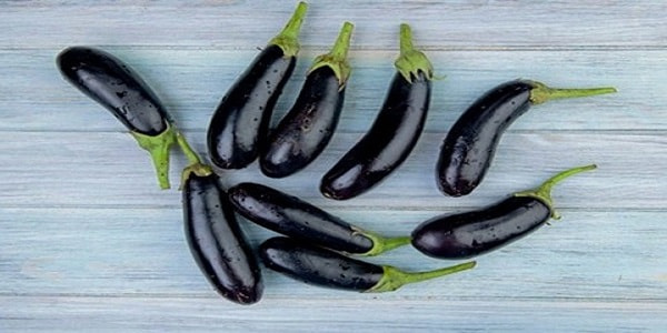تصویر 4 از خرید و فروش بادمجان قلمی کوچک با شرایط فوق العاده